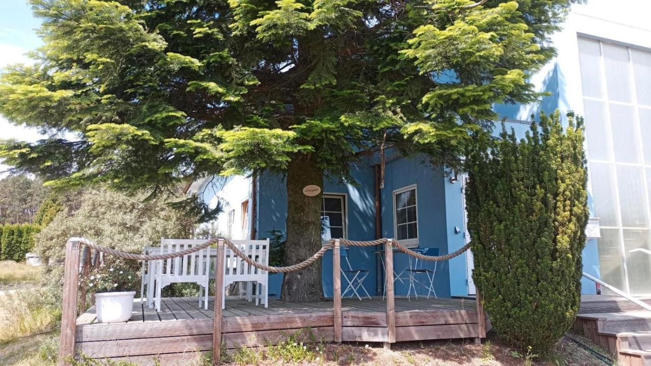 Ferienwohnung Naturparadies Gnitz Lutow Buitenkant foto